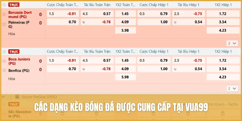 Các dạng kèo thể thao được cung cấp tại VUA99